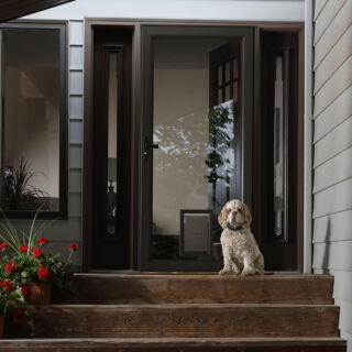 Larson Pet Door Collection